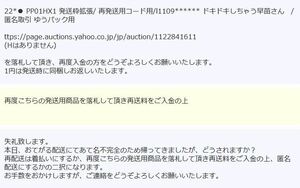 22*● PP01HX1 発送枠拡張/ 再発送用コード用/l1109****** ドキドキしちゃう早苗さん　/ 匿名取引 ゆうパック用