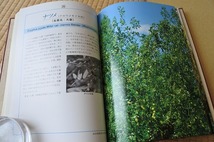 ★古書★薬用植物　武田薬報400号記念　非売品　共箱_画像6