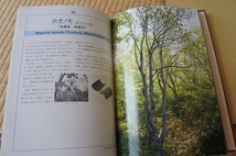 ★古書★薬用植物　武田薬報400号記念　非売品　共箱_画像8