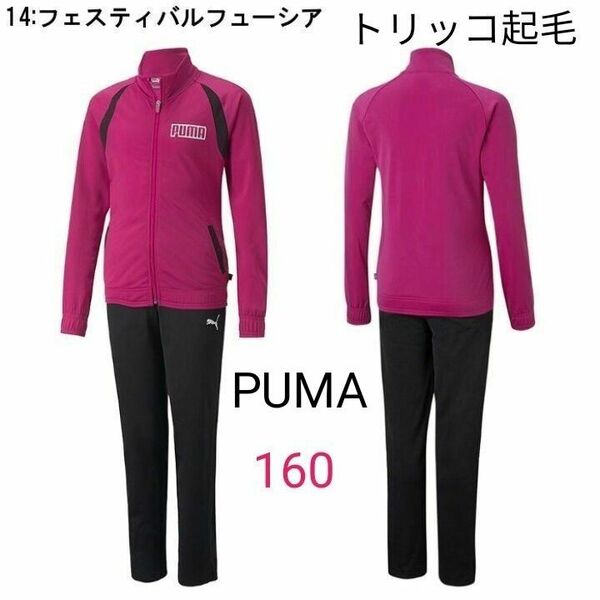 新品PUMAジャージ上下セット160トリッコ起毛