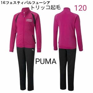 新品PUMAジャージ上下120