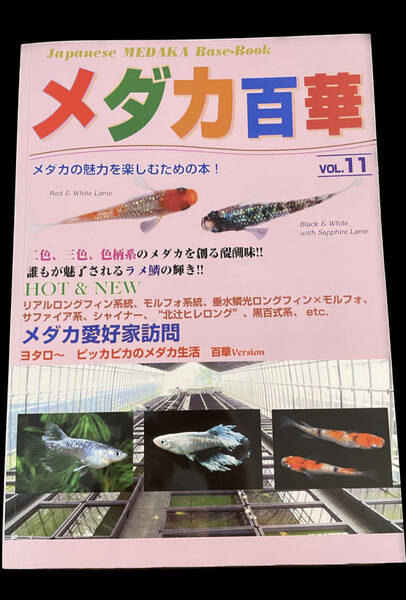 【堀切めだか】メダカ百華　VOL.11