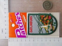 80s ガットリンバーグ GATLINBURG CANADA 刺繍 ワッペン/テネシー州スモーキー山脈 ビンテージ スーベニア Voyager 旅行 観光 土産 USA_画像10