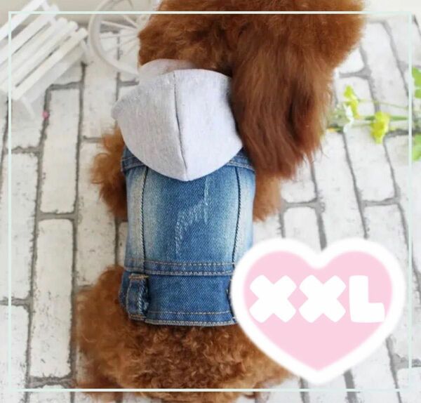 フード付きデニムジャケットXLサイズ　新品　犬用　かわいい　犬服 おしゃれ ドッグウェア ペットウェア