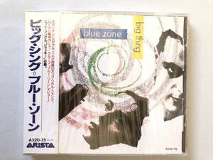 未開封 見本盤 ブルー・ゾーン blue zone ビッグ・シング big thing (リサ・スタンスフィールド LISA STANSFUELD)