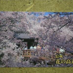 siro/270-3587 お城 高遠城 桜 テレカの画像1