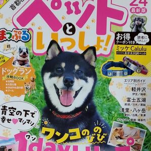 お散歩もお泊まりもペットといっしょ! 首都圏発 24