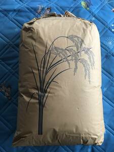 *30 kilo * Ibaraki prefecture production Koshihikari have machine cultivation .. diligently .. Chan bulrush ...... making did free shipping 