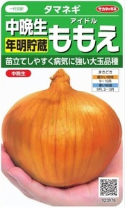 送料無料　ももえ　中晩生長期貯蔵玉ねぎ　１００粒