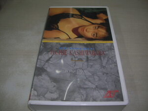  Kashiwa ...YOSHIE KASHIWABARA in LA номер товара :ATA-8906 1989 год 7 месяц 12 день выпуск 30 минут б/у видео ART TENDER