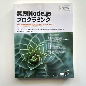 送料無料！◎実践Node.jsプログラミング : Node.jsの基礎知識からアプリケーション開発、テスト、配置/応用まで