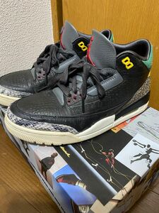 NIKEジョーダン3 レトロ　アニマル