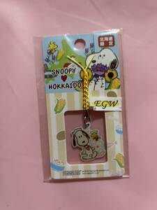 Строка Snoopy Charm's Krinao, Hokkaido Limited Local Metal Roots Snoopy