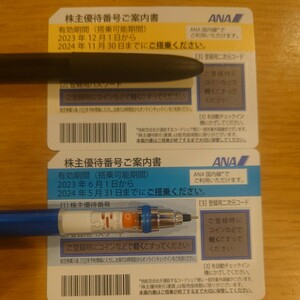 ANA 全日空 株主優待 航空券