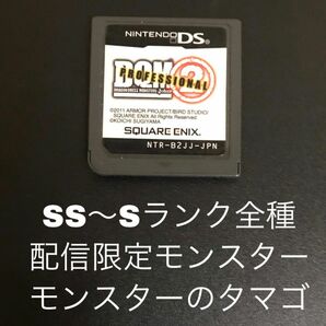 ドラゴンクエストモンスターズ　ジョーカー2プロフェッショナル　DQMJ2P DS