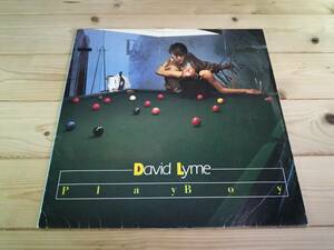 【輸入盤】12インチ レコード David Lyme（デヴィッド・ライム）Play boy (プレイボーイ) ※ディスコ DISCO ユーロビート Eurobeat