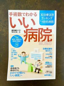 いい病院　手術数でわかるいい病院2023　週刊朝日MOOK 病院　手術