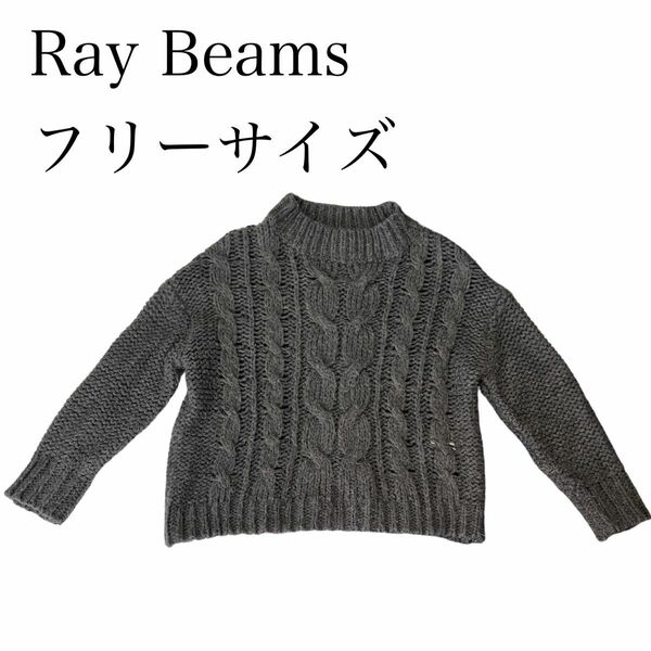 Ray Beams レイビームス ニット セーター beams レディース ケーブル編み ニットセーター トップス