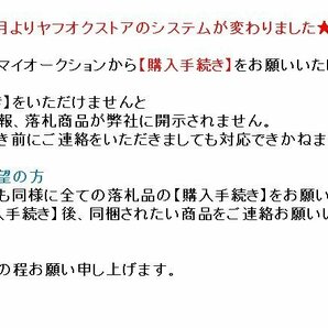 【模写】【一灯】vg5049〈曽我蕭白〉馬図 絖本 奇想の画家 江戸時代中期の画像2