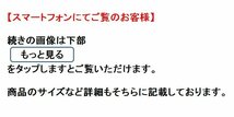 【模写】【一灯】vg6559〈頼聿庵〉大幅 書 頼山陽長男 江戸時代後期 儒者 安芸広島藩士_画像2