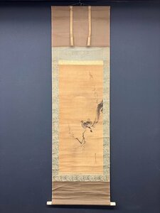 Art hand Auction [복사] [등불 1개] vg5446(가노도하루) 매화와 쌍둥이 비둘기 스루가다이 가노 카노도운이 채택 에도시대 중기 초, 그림, 일본화, 꽃과 새, 조수