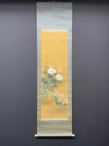 Art hand Auction [प्रतिलिपि] [एकल प्रकाश] वीजी6485(सदाबहार)शरद ऋतु के फूलों का नक्शा, चित्रकारी, जापानी पेंटिंग, फूल और पक्षी, पक्षी और जानवर