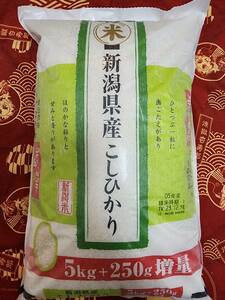 【新潟県産コシヒカリ《5.25kg》】令和5年産　精米