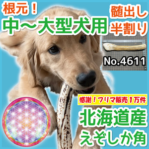 ■ 中～大型犬用 ■ 天然 北海道産 蝦夷鹿の角 ■ 根元部分 半割り 1本 ■ 犬のおもちゃ ■ 鹿の角 犬 無添加 エゾシカ ツノ 46111