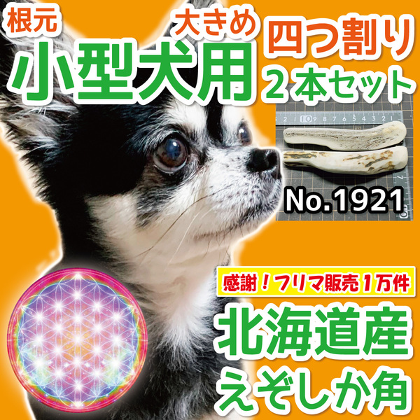 ■ 小型犬用 ■根元部分 大きめ！四半割り 2本セット■天然 北海道産 蝦夷鹿の角■ 犬のおもちゃ ■無添加 エゾシカ ツノ 鹿の角 犬 19212