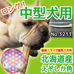 ■ 中型犬用 ■ ロングタイプ1本 ■ 天然 北海道産 蝦夷鹿の角 ■ 犬のおもちゃ ■ 無添加 エゾシカ ツノ 鹿の角 犬 32111