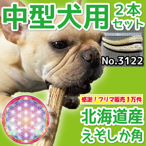 ■ 中型犬用 ■ 2本セット ■ 天然 無添加 北海道産 蝦夷鹿の角 ■ 犬のおもちゃ ■ 鹿角 エゾシカ ツノ 鹿の角 犬 31224