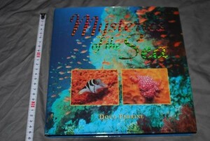 q283】洋書図録：mysteries of the sea　海中生き物の写真集