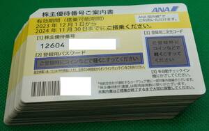 ANA　株主優待券　10枚　大網てんとう虫　C16-479-13