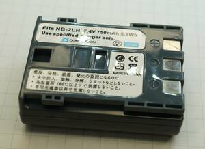 デジカメ電池　大網てんとう虫　F16-579-16