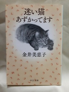 金井美恵子エッセイ「迷い猫あずかってます」中公文庫