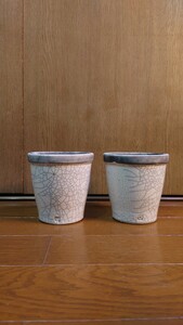 Domani　植木鉢　（検索用　コミフォラ　や　塊根植物　等お好きな方にも）