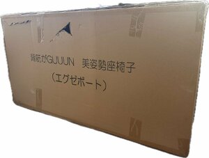 1円★新品未開封　PROIDEA（プロイデア） 背筋がGUUUN 美姿勢座椅子 エグゼボート　送料無料【4531661045834】