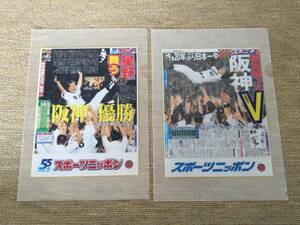 阪神タイガース　2003年　2005年 優勝記念クリアファイル　スポーツニッポン　スピニチ　２枚セット