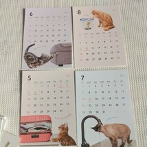 猫　ネコ　卓上カレンダー_画像3