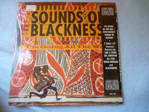 Sounds Of Blackness / I'M Going All The Way シュリンク付 試聴可 12 グルーヴィ・ソウルフル 名曲 90s R&B 