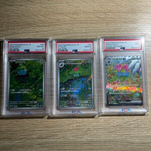 【鑑定品　psa 3連番 】　ポケモン151 フシギダネ　フシギソウ　フシギバナ