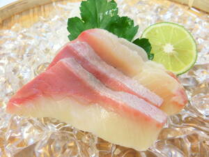  yellowtail slice 1P4 sheets entering. Ehime prefecture production freshness eminent beautiful taste ...