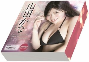 【決算セール！】HIT'S/山田かな　未開封BOX1ボックス　◆最後です 240115-027