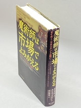 魔術師は市場でよみがえる―タイガー・マネジメントの興亡 東洋経済新報社 ダニエル・A. ストラックマン_画像3