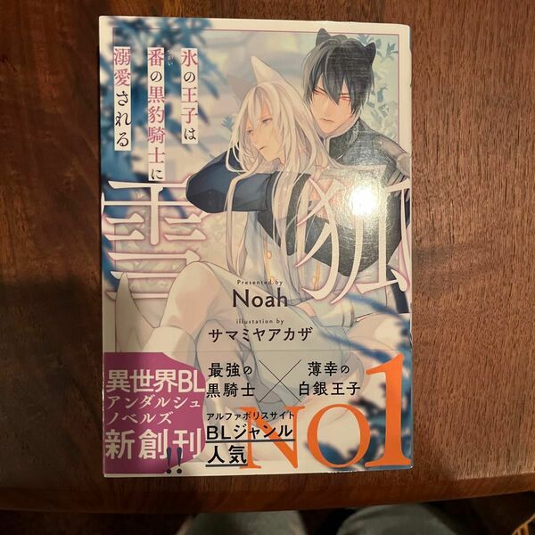 雪狐　氷の王子は番の黒豹騎士に溺愛される （＆ａｒｃｈｅ　ＮＯＶＥＬＳ） Ｎｏａｈ／〔著〕