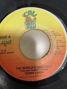 Terry linen レゲエ　レコード　9