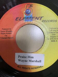 Wayne marshall / Praise him レゲエ　レコード　68
