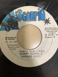 Bunny ruggs & Horace andy レゲエ　レコード　124