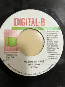Sizzla / No time to gaze レゲエ　レコード　235