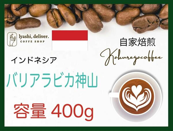 バリ アラビカ　神山 コーヒー　インドネシア　400g